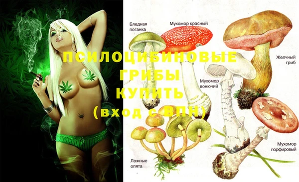 МДПВ Абинск