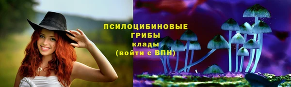 МДПВ Абинск