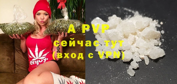 мяу мяу мука Абаза