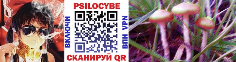 как найти Красноперекопск Псилоцибиновые грибы Psilocybine cubensis